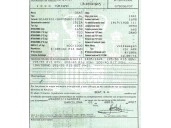 seat ibiza (6l1) del año 2007