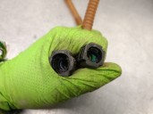 Recambio de aforador para porsche cayenne (9pa) 3.6 referencia OEM IAM 7L5919679 95562013100 A2C53173881