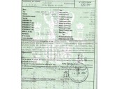 ford focus berlina (cak) del año 2004