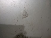 Recambio de capot para toyota auris (_e15_) 2.0 d-4d (ade150_) referencia OEM IAM 5330102160 5330102160 