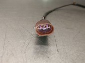 Recambio de sensor para audi a4 b8 avant (8k5) 3.0 tdi quattro referencia OEM IAM 8K0906088 8K0906088 