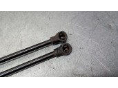 Recambio de amortiguadores maletero / porton para peugeot 207 16v referencia OEM IAM 9650780480 8731L7 