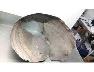 Recambio de paso rueda delantero derecho para audi a4 avant (8ed) 2.0 tdi referencia OEM IAM 8E0821172F 8E0821172F 