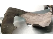 Recambio de paso rueda delantero derecho para audi a4 avant (8ed) 2.0 tdi referencia OEM IAM 8E0821172F 8E0821172F 