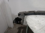 Recambio de refuerzo paragolpes delantero para citroën c8 (ea_, eb_) 2.2 hdi referencia OEM IAM 7414X8 7414X8 