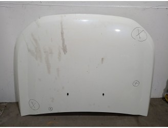 Recambio de capot para ford ranger (tke) 2.2 tdci 4x4 referencia OEM IAM 2029191 2029191 