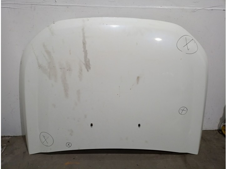 Recambio de capot para ford ranger (tke) 2.2 tdci 4x4 referencia OEM IAM 2029191 2029191 