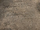 Recambio de cubrecarter para audi q7 (4mb, 4mg, 4mq) sq7 tdi quattro referencia OEM IAM 4M0825285 4M0825285H 