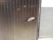 Recambio de radiador agua para citroën xsara picasso (n68) 1.6 referencia OEM IAM 1330G5 1330G5 