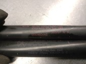 Recambio de amortiguadores maletero / porton para chrysler grand voyager v (rt) 2.8 crd referencia OEM IAM 050109604AC 5109604AB
