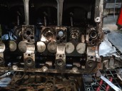 Recambio de culata para volkswagen passat variant (3b6) 1.9 tdi referencia OEM IAM 038103373R 03G103351C 