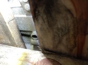 Recambio de motor completo para renault fluence z.e. referencia OEM IAM 5AM40 290127741R 