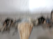 Recambio de puente trasero para ford maverick (uds, uns) 2.7 td referencia OEM IAM 1961257 1961257 