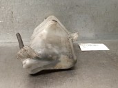 Recambio de deposito expansion para citroën c5 iii (rd_) 1.6 hdi 110 referencia OEM IAM 254292L000 254312L000 