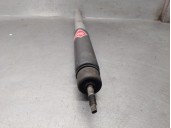 Recambio de amortiguador trasero izquierdo para mercedes-benz clase e (w210) e 200 cdi (210.007) referencia OEM IAM A2103200431 