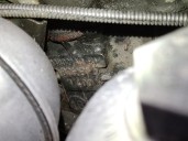 Recambio de motor completo para seat ibiza iii (6l1) 1.9 tdi referencia OEM IAM AXR 038100040H 602807