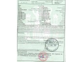 ford focus i sedán (dfw) del año 1999