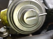 Recambio de motor completo para bmw 5 (e39) 525 d referencia OEM IAM 256D1 11007786172 21829426