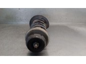 Recambio de amortiguador delantero derecho para dacia lodgy (js_) 1.5 dci referencia OEM IAM 543028447R 543028447R 