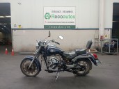 daelim daystar del año 2000