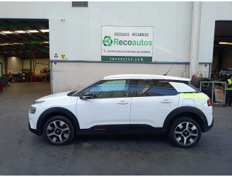 citroën c4 cactus del año 2019