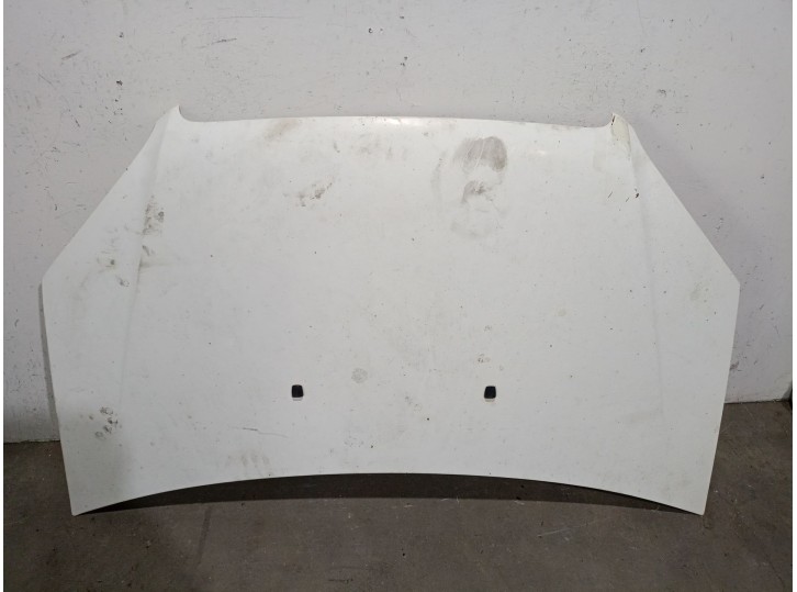 Replacement hood for Fiat Doblo van/MPV (223_) 1.3 D Multijet OEM IAM reference 51841326 51841326
