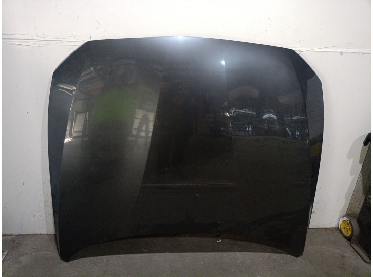 Recambio de capot para bmw 1 (f20) 116 d referencia OEM IAM 41007290942 41007290942 