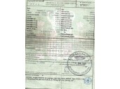 ford transit connect (p65_, p70_, p80_) del año 2005