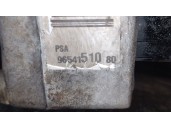 Recambio de bomba direccion para peugeot 307 (3a/c) 1.6 hdi referencia OEM IAM 9554151080 4007VN A5097521A