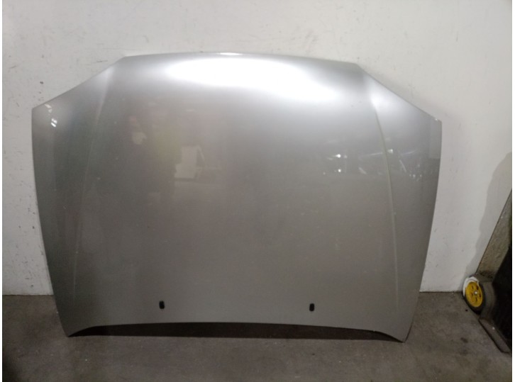 Recambio de capot para ford fiesta iv (ja_, jb_) 1.3 i referencia OEM IAM 1098820 1098820