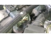 Replacement complete engine for Kia Cee'd (JD) 1.6 CRDi 128 OEM IAM reference D4FB Z59712AZ00 EZ620441