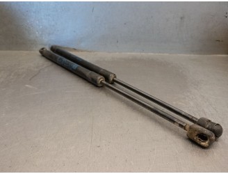 BOOT / TAILGATE SHOCK ABSORBERS 24463829 132743 