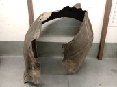 Recambio de paso rueda delantero derecho para seat exeo (3r2) 2.0 tdi referencia OEM IAM 8E0821172F 8E0821172F 