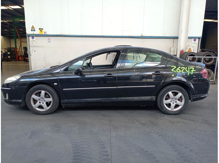 PEUGEOT 407 (6D_)