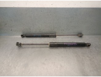 TRUNK / TAILGATE STRUTS 39117353 39117353 