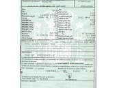 skoda roomster praktik (5j) del año 2009