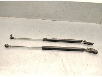 TRUNK / TAILGATE STRUTS B25R62620B B25R62620B 