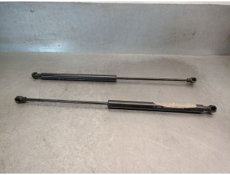 BOOT / TAILGATE STRUTS 904511881R 