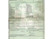 peugeot expert (224_) del año 2001