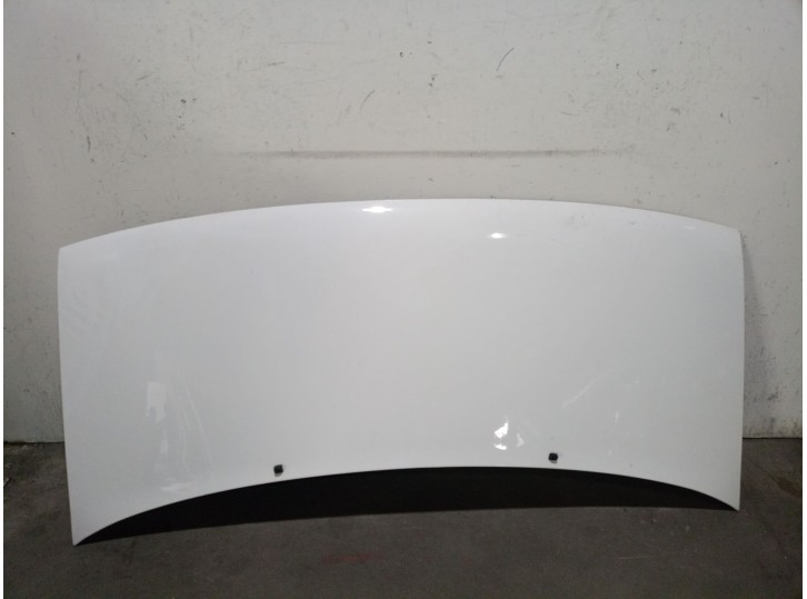 Recambio de capot para peugeot expert (224_) 2.0 hdi referencia OEM IAM 7901H2 7901H2 