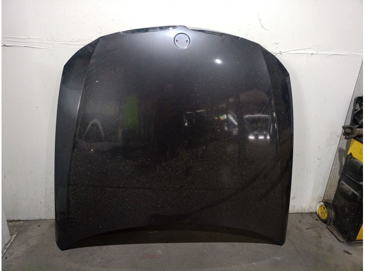 Recambio de capot para bmw 3 (e90) 320 d referencia OEM IAM 41617140729 41617140729 