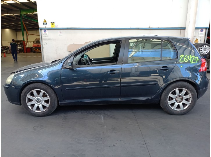 Volkswagen Golf V (1K1) from the year 2004