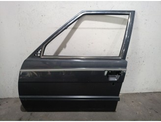 PUERTA DELANTERA IZQUIERDA F2N 