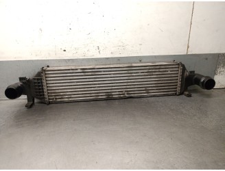 INTERCOOLER A2465000900 144615DC0A 