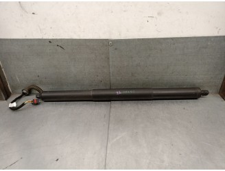 TRUNK / TAILGATE STRUTS 80A827851A 80A827851A 