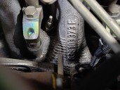Replacement complete engine for SEAT Leon (1M1) 1.9 TDI, OEM IAM reference ALH 038100090D 475184