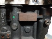 Replacement complete engine for Renault Express van/minivan 1.5 Blue dCi 95 (F6AB), OEM IAM reference K9KU876 D166727
