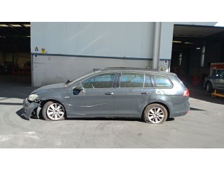 Volkswagen Golf VII Variant (BA5, BV5) from 2014