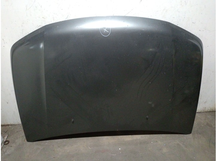 Suzuki Grand Vitara II 2.4 AWD hood
