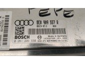 Replacement engine control unit (ECU) for Audi A4 B7 (8EC) 2.0, OEM IAM reference 8E0909557R 0261208690